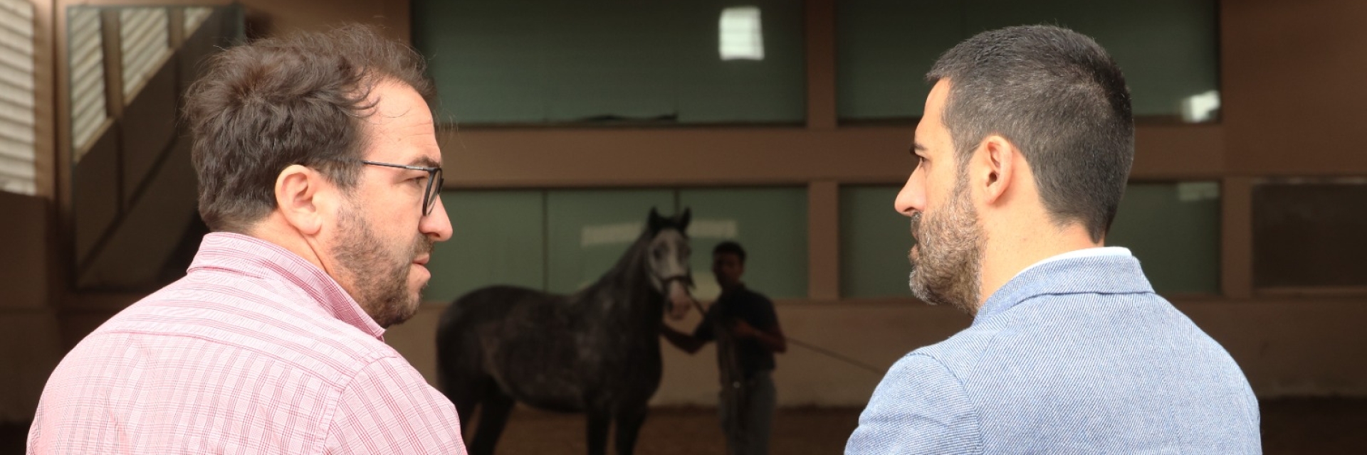 Vieira do Minho prepara adesão à Associação de Municípios Portugueses do Cavalo