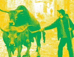 Galeria de Fotos - “A Gosto do Verão” leva o cinema ao Auditório Municipal e à Casa de Lamas