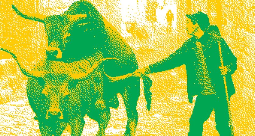 “A Gosto do Verão” leva o cinema ao Auditório Municipal e à Casa de Lamas