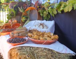 Galeria de Fotos - Vieira do Minho prepara quatro dias de festa onde a tradição se encontra com as novas gerações