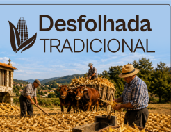 Galeria de Fotos - Município de Vieira do Minho leva Desfolhada Tradicional a Guilhofrei para celebrar as raízes e a identidade do concelho