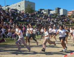 Galeria de Fotos - Corta-Mato Escolar reuniu cerca de 600 alunos no Parque dos Moinhos
